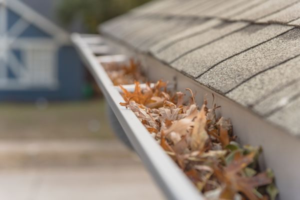 Leaf Barrier Installation in Pottstown
