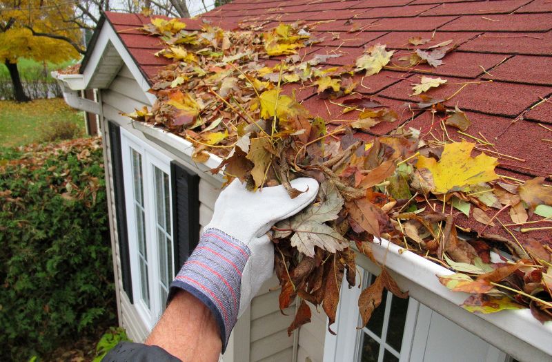 Seasonal Maintenance Tips